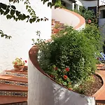 Mediterranea 3*